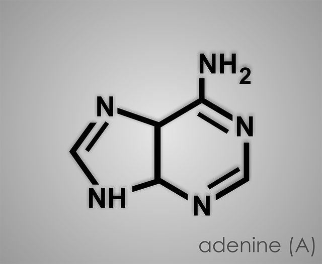 adenine 1769857 640
